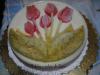 Semifreddo_tulipano_02